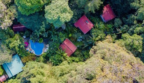 Family Bungalow