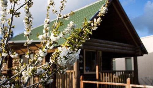 Two-Bedroom Chalet