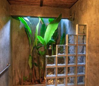 Pacha Studio