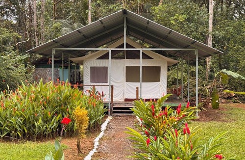 Sierpe Cabin | Sabalo lodge