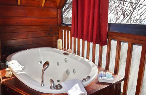 Amirim Ski Chalet | Nofesh Ne'eman