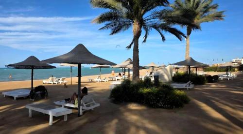 Al Ahyaa Resort | Palma Shores Relax by the Red Sea