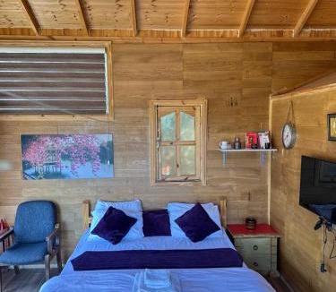 Zayy Cabin | Fashet alsalt-فشة السلط