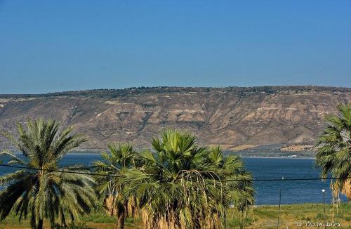 Kinneret Apartment | מקום טוב באמצע במושבת כנרת
