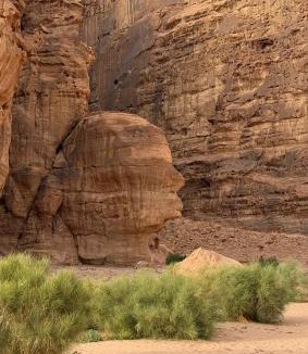 Wadi Rum Hotel | Eileen wadi rum camp