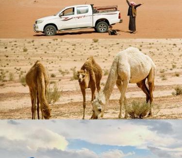 Wadi Rum Other | Raja Camp