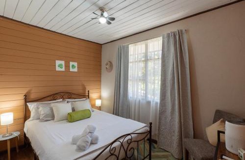 Santa Rosa Apartment | Nature Retreat in Turrialba Fast WiFi and Peaceful