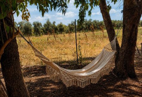 Gilboa Cabin | בועה ביער