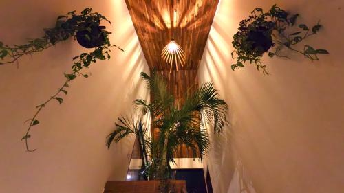 Manzanillo Villa | Con Amor Caribe - NEW - 240 m2 - 2500 sq ft - Rainforest Villa - Wildlife at Your Door - Private Pool - Near Beach