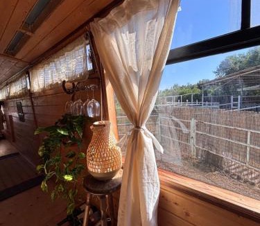Beit Hillel Ski Chalet | Green Bus