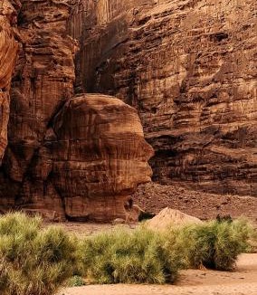 Wadi Rum Hotel | Eileen wadi rum camp