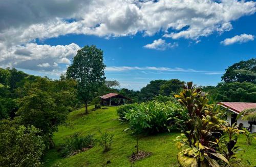 Parrita Resort | Ojo del Fénix Rainforest Resort