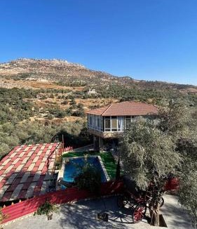 Suwailih House | Bab al-qalaa farm & chalets مزرعة وشاليهات باب القلعه
