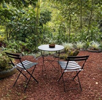 Venecia Apartment | Jungle Cabin w Pool & Nature Trails