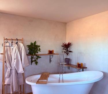 Tsukim Cabin | מים במדבר