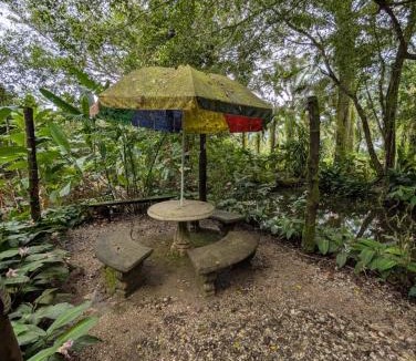 Quebrada La Gamba Cabin | Hotel La Gamba Rainforest Lodge