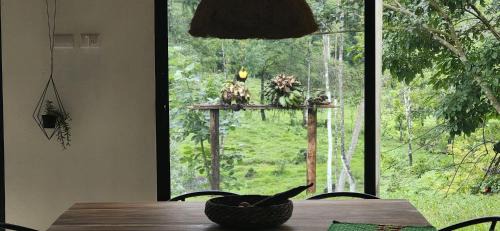 Bijagua Villa | Private rainforest villa up to 8 guests w jacuzzi near Rio Celeste
