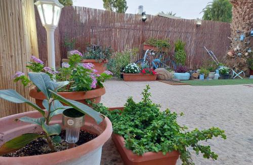 Neot HaKikar Cabin | אצלנו בחצר - צימר למשפחות ולזוגות בדרום ים המלח