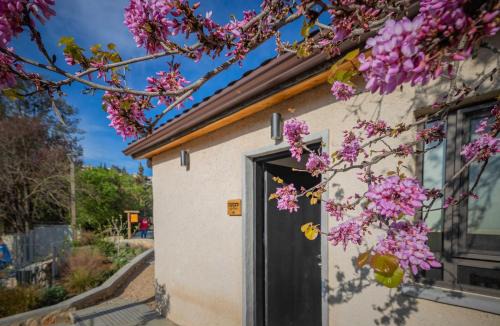 Jerusalem Cabin | Peace Forest Jerusalem - Cabins & Caravans by City of David