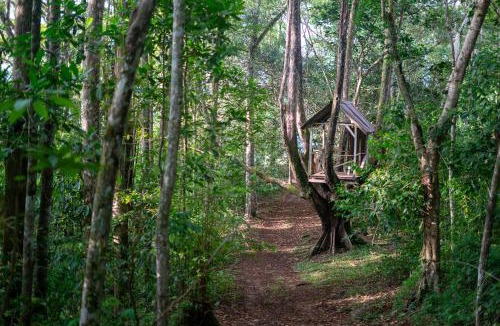 Canton Buenos Aires Cabin | Rincon Ecologico Cultural Terraba