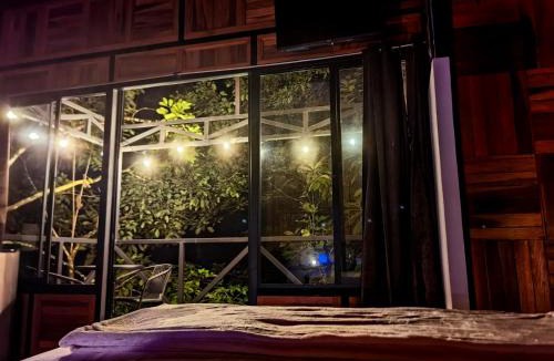 Vieja Cabin | Cabaña Colibri #2