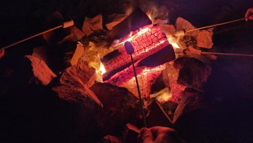 Mitzpe Ramon Other | Glamping Caravans In the Crater- גלמפינג קרוואנים במכתש