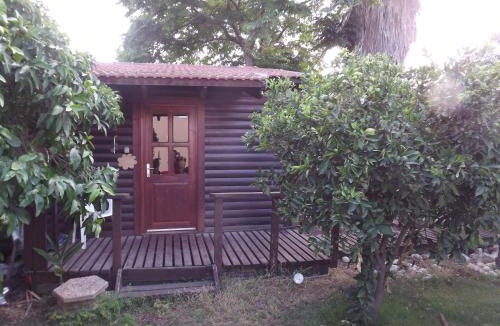 Karmiel House | Zimmer In The Garden