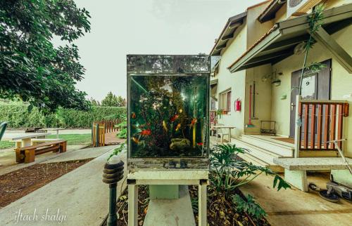 She'ar Yashuv House | Nuriel Fruit & Guest House