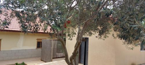 Shezor Hotel | צימרים בצפון וסביב כרמיאל בצפון-Amoresכרמיאל והסביבה