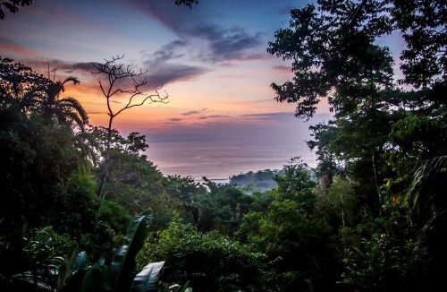 Cabo Matapalo Hotel | Lapa Rios Lodge