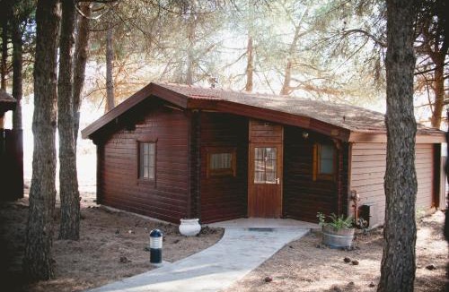 Ortal Resort | Kibbutz Ortal Tourism