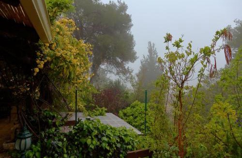 Kfar Vradim Cabin | The Rose Trail