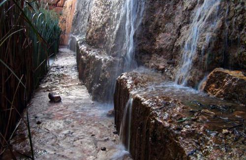 Karmiel House | Zimmer In The Garden
