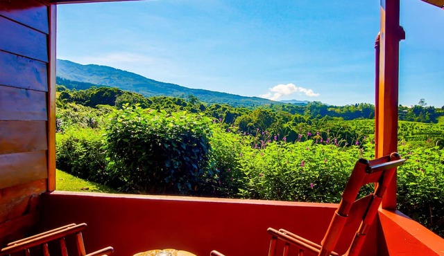 Hotel Mango Valley in San Roque
