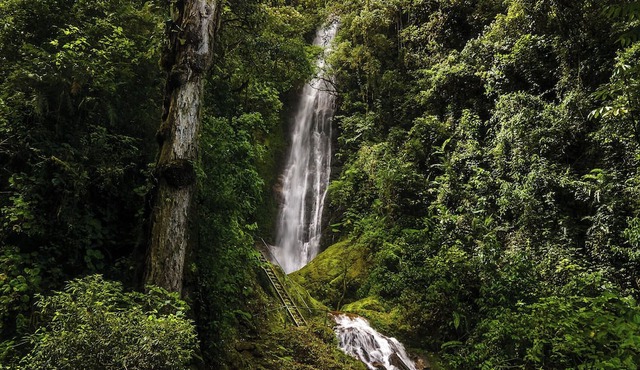 Talamanca Nature Reserve