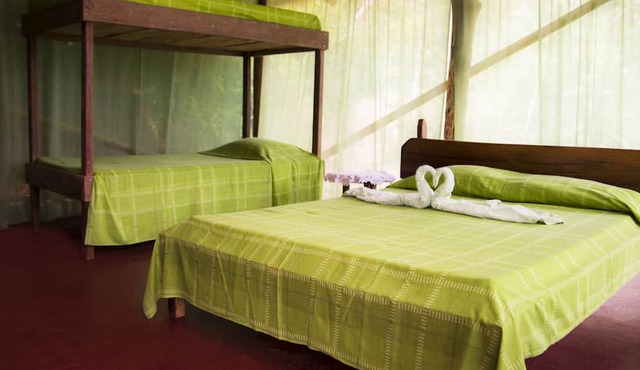 Isla Violin Eco Lodge