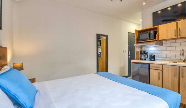 Stylish apartment in San Jose with A/C! in san jose