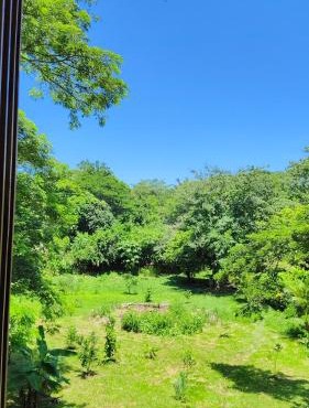 Tierra Viva Ecoproject