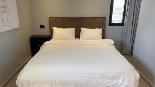 Penthouse with Jacuzzi,BBQ 2mn from sea Or Hakerem