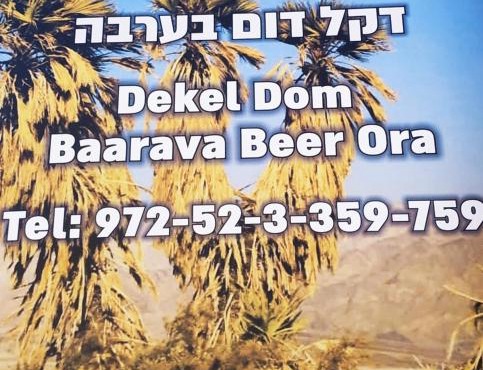 Dekel Dom Baharava