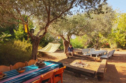 Back to Nature Camping & Huts