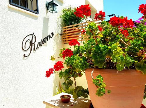 Rosana guest house